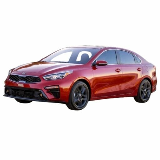 Cerato